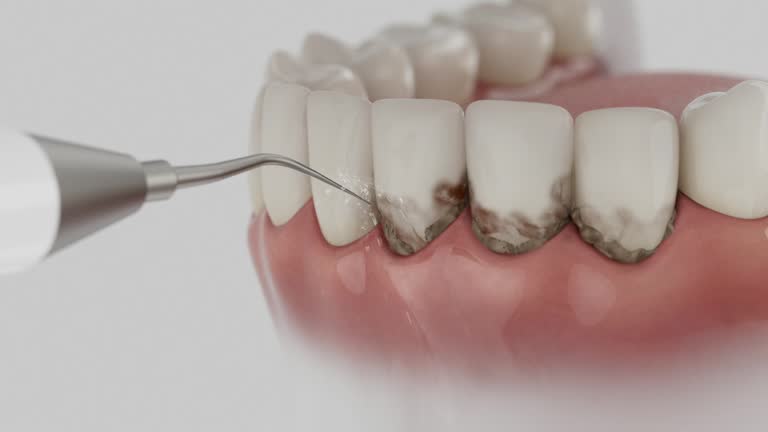 Reliable Dental contractor in Itta Bena, MS by Dentist Open Now